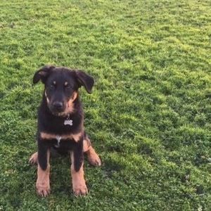 Meet your Posher, Angela